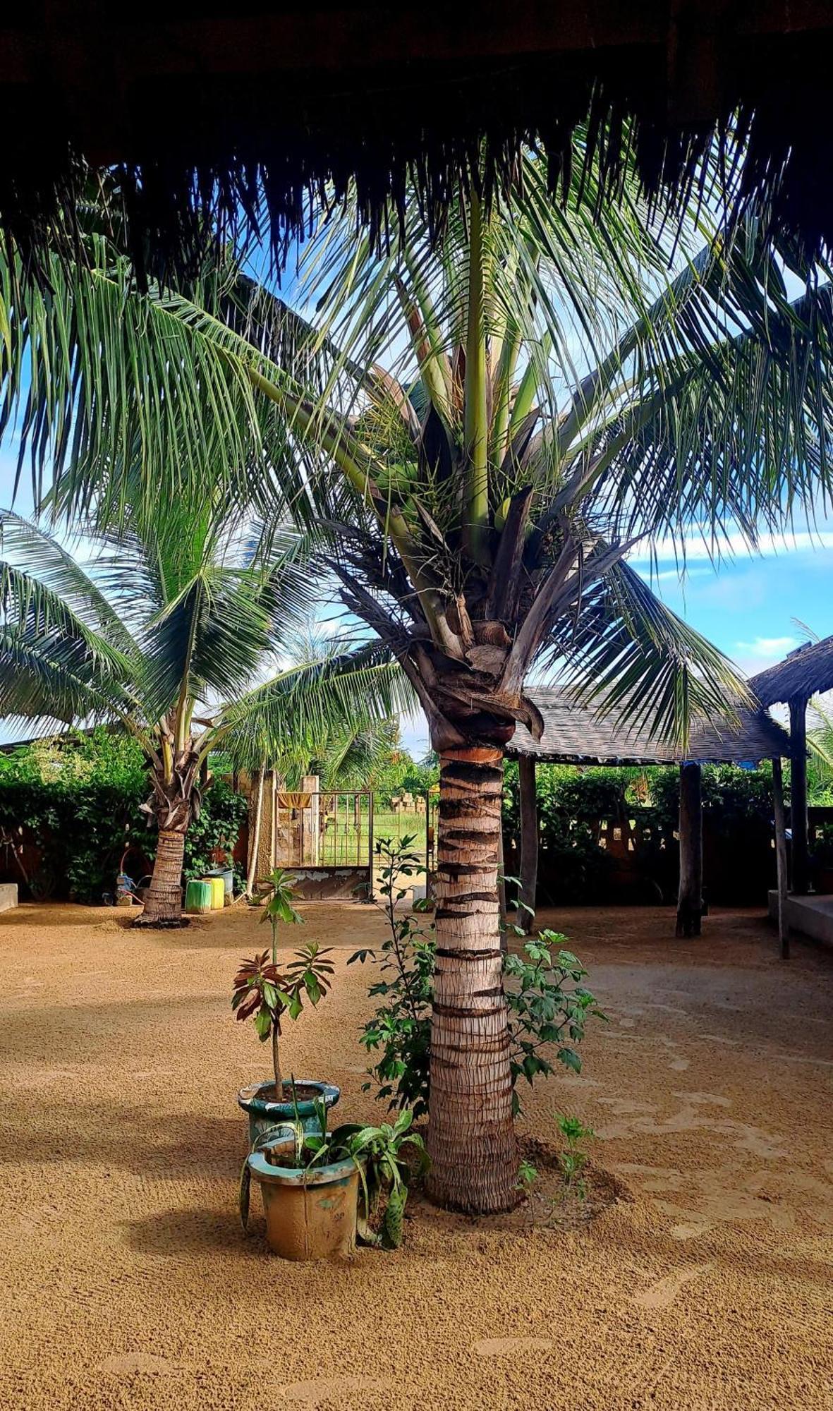Hotel Nguel du Saloum - Chez Abdou et Mar à Mar Lodj Extérieur photo