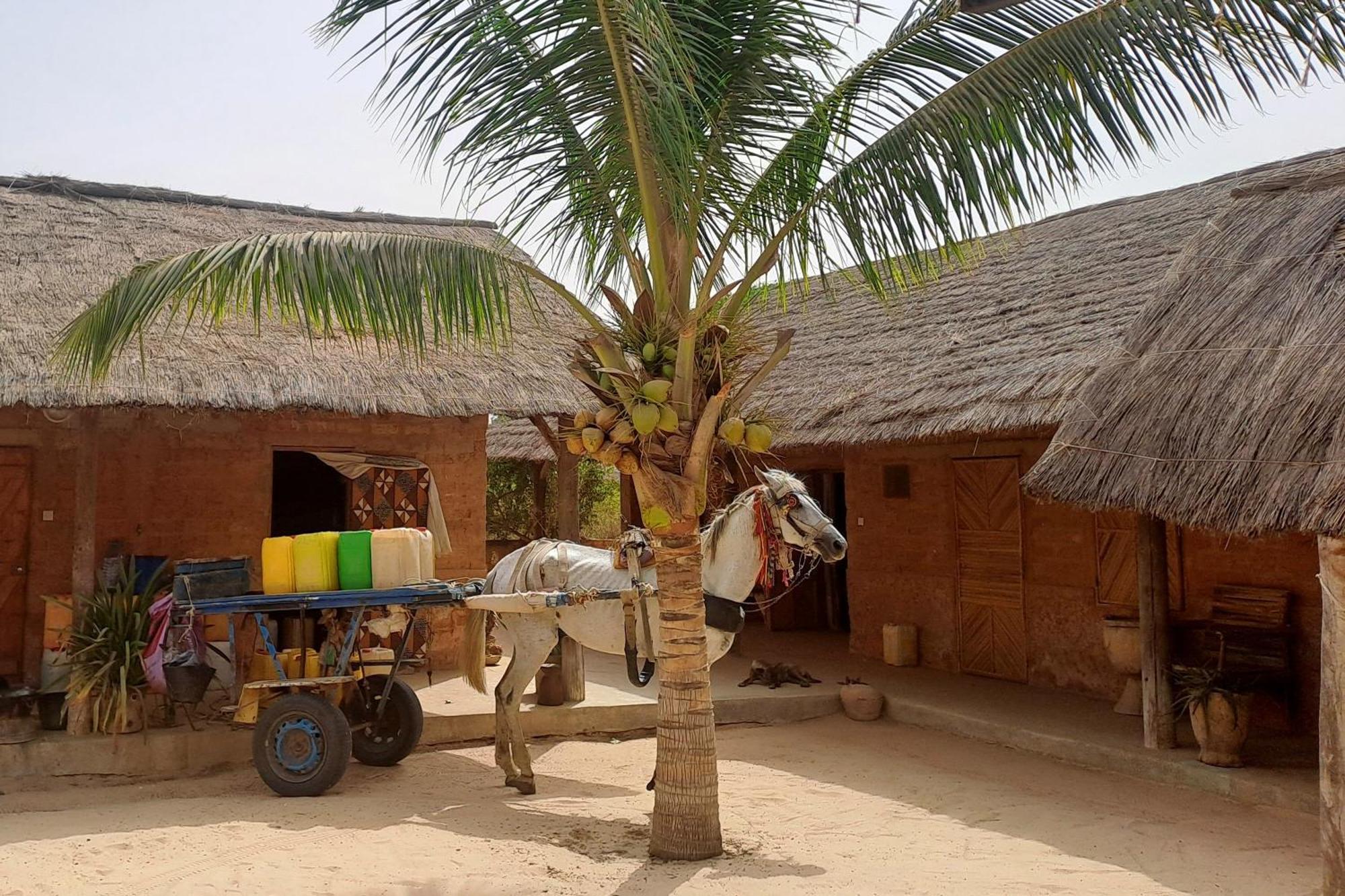 Hotel Nguel du Saloum - Chez Abdou et Mar à Mar Lodj Extérieur photo