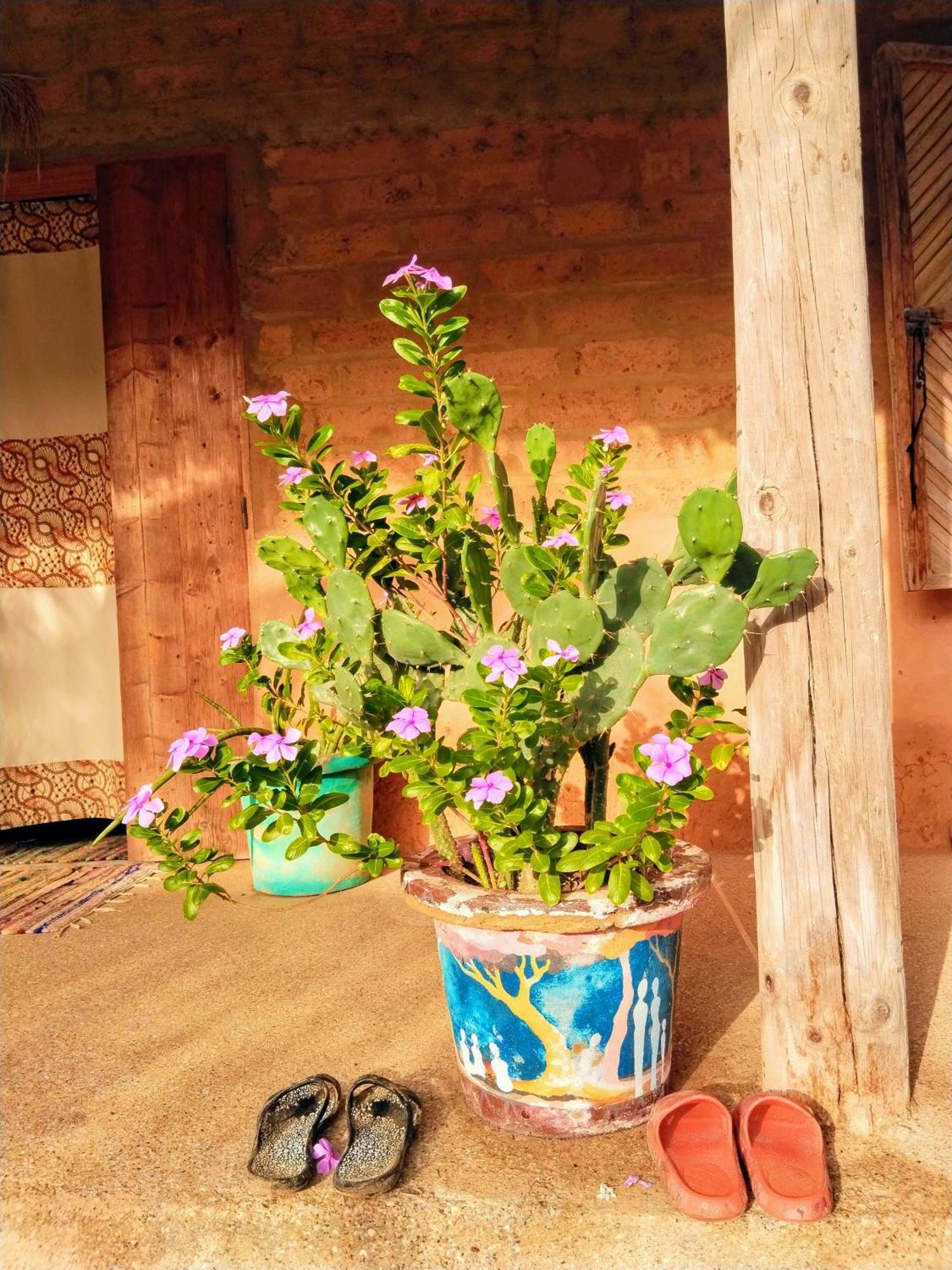 Hotel Nguel du Saloum - Chez Abdou et Mar à Mar Lodj Extérieur photo